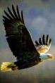 /album/fotogaleria/me-1251-jpg/